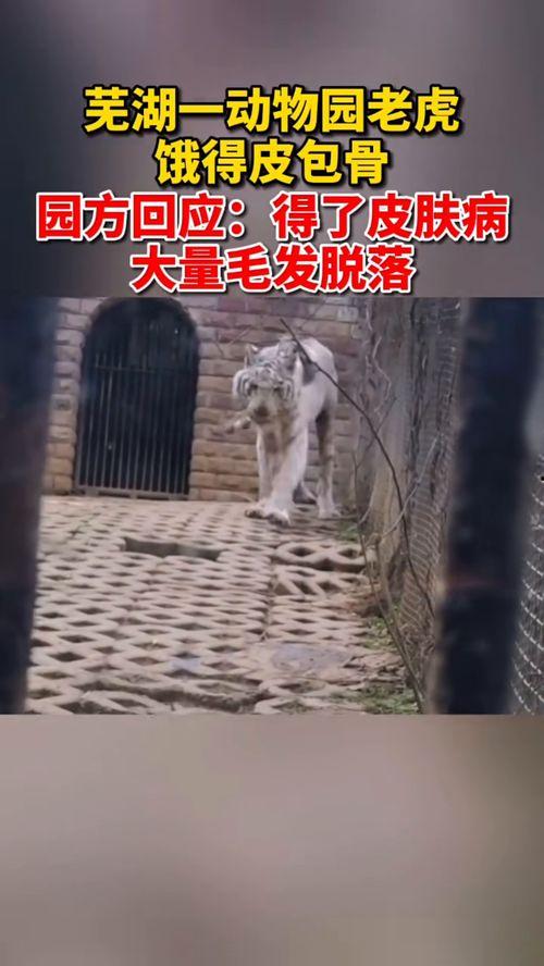 今日动物爆料最新消息新闻,最新奇特的动物新闻盘点